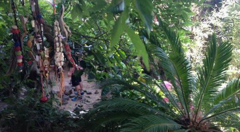 Shamanism Workshop in IPTB Gardens